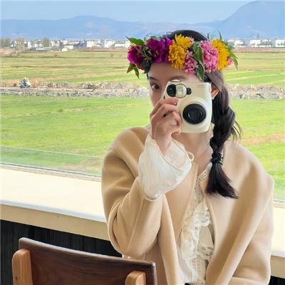 鹤唳华亭