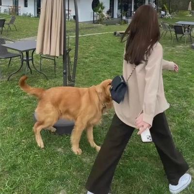 经常请吃饭的理事大人